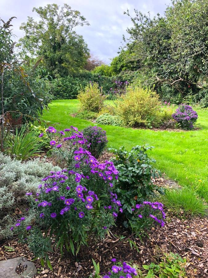 Dingle Garden Townhouse Bed & Breakfast Exterior photo The gardens at the centre