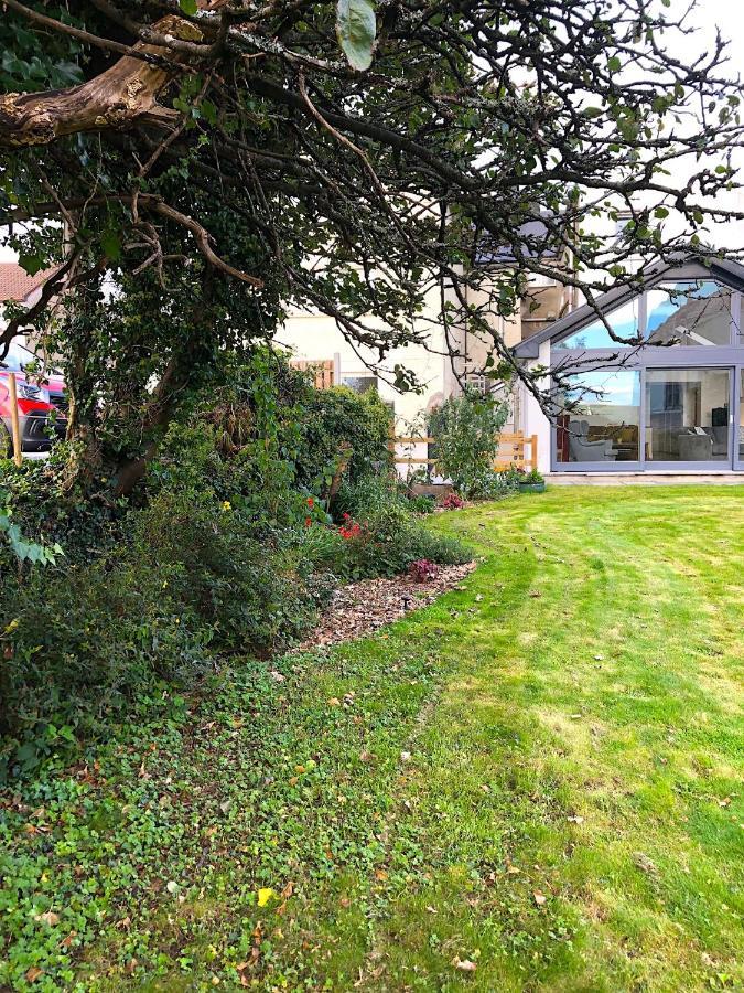 Dingle Garden Townhouse Bed & Breakfast Exterior photo The garden of the house