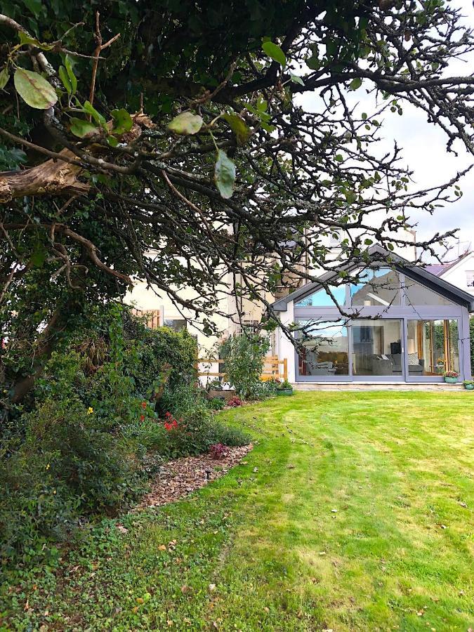 Dingle Garden Townhouse Bed & Breakfast Exterior photo The garden of the house